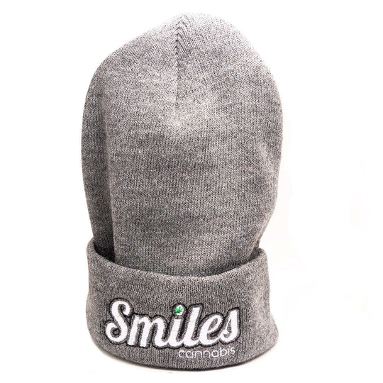 Logo Beanie in Gray