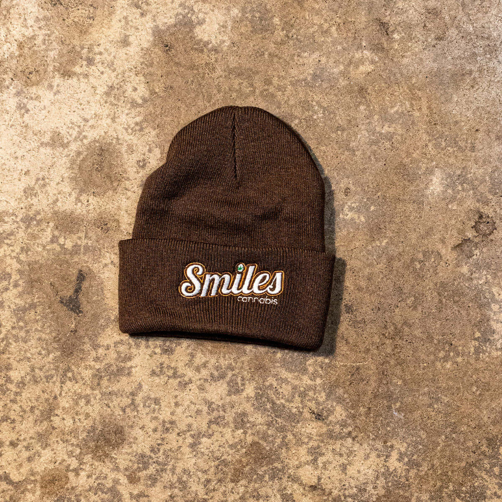 Logo Beanie in Brown