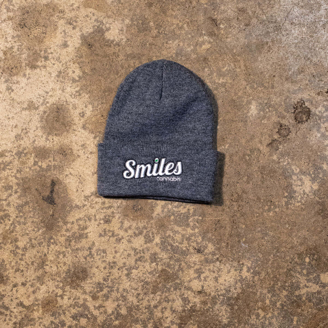 Logo Beanie in Gray